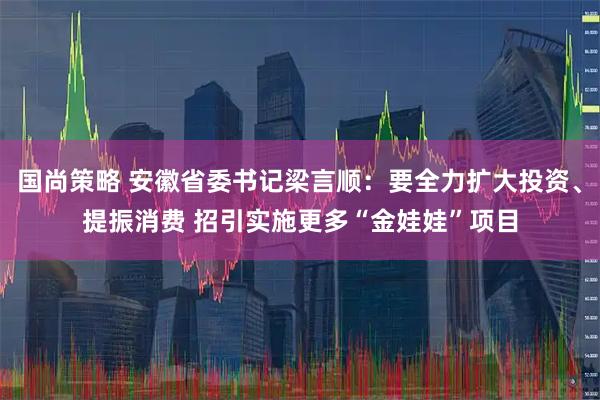 国尚策略 安徽省委书记梁言顺：要全力扩大投资、提振消费 招引实施更多“金娃娃”项目