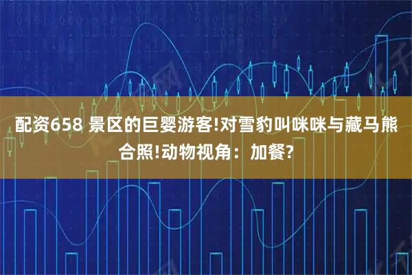 配资658 景区的巨婴游客!对雪豹叫咪咪与藏马熊合照!动物视角：加餐?