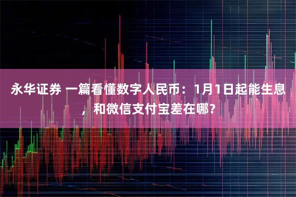 永华证券 一篇看懂数字人民币：1月1日起能生息，和微信支付宝差在哪？