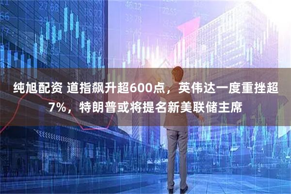 纯旭配资 道指飙升超600点，英伟达一度重挫超7%，特朗普或将提名新美联储主席