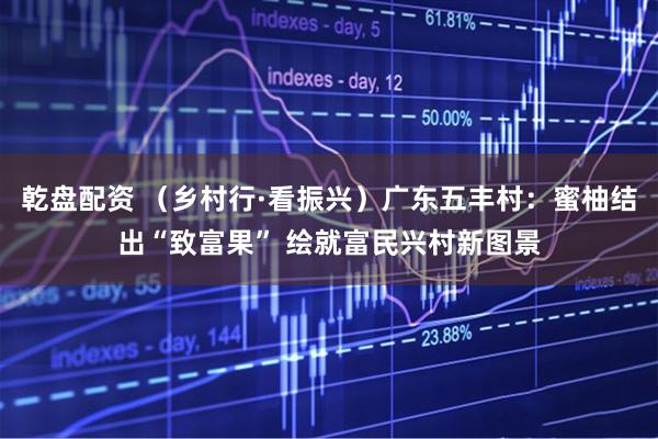 乾盘配资 （乡村行·看振兴）广东五丰村：蜜柚结出“致富果” 绘就富民兴村新图景
